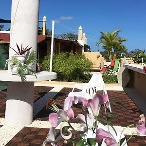 Boutique Hotel